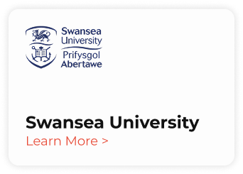 Swansea University
