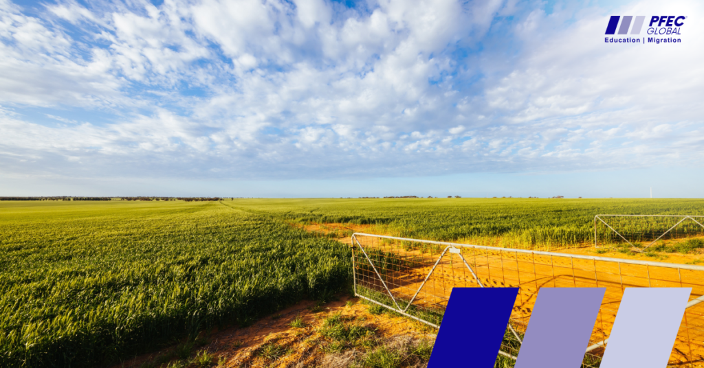 Australia Seasons Guide for International Students